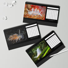 Load image into Gallery viewer, XXX PNW NUDI CALENDAR - Blank Monthly Nudibranch 12 Month Table/Desk Calendar