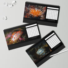 Load image into Gallery viewer, XXX PNW NUDI CALENDAR - Blank Monthly Nudibranch 12 Month Table/Desk Calendar