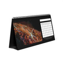 Load image into Gallery viewer, XXX PNW NUDI CALENDAR - Blank Monthly Nudibranch 12 Month Table/Desk Calendar