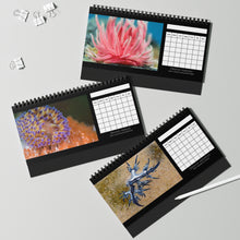 Load image into Gallery viewer, Blank Monthly Nudibranchs from Around the World 12 Month Table/Desk Calendar