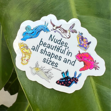 Load image into Gallery viewer, Beautiful in All Shapes & Sizes Body-Positive Nudibranch Waterproof Stickers
