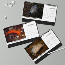 Load image into Gallery viewer, 2025 PNW XXX Nudibranch Table/Desktop Monthly Calendar