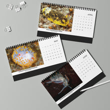 Load image into Gallery viewer, 2025 PNW XXX Nudibranch Table/Desktop Monthly Calendar