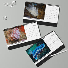 画像をギャラリービューアに読み込む, 2025 XXX Nudibranch Table/Desktop Monthly Calendar