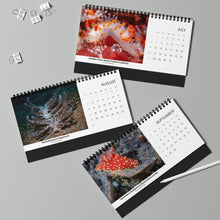 画像をギャラリービューアに読み込む, 2025 XXX Nudibranch Table/Desktop Monthly Calendar
