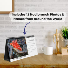 画像をギャラリービューアに読み込む, 2025 XXX Nudibranch Table/Desktop Monthly Calendar