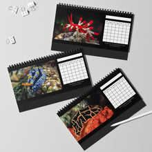 Load image into Gallery viewer, Indo-Pacific Nudibranch 12 Month Table/Desk Calendar