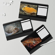 Load image into Gallery viewer, XXX PNW NUDI CALENDAR - Blank Monthly Nudibranch 12 Month Table/Desk Calendar