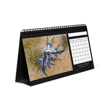 Load image into Gallery viewer, Blank Monthly Nudibranchs from Around the World 12 Month Table/Desk Calendar