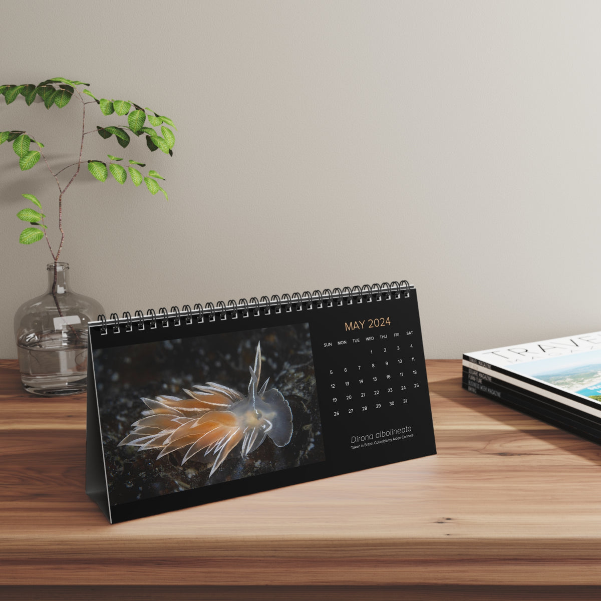 XXX PNW NUDI CALENDAR 2024 Pacific Northwest Nudibranch 12 Month Tab