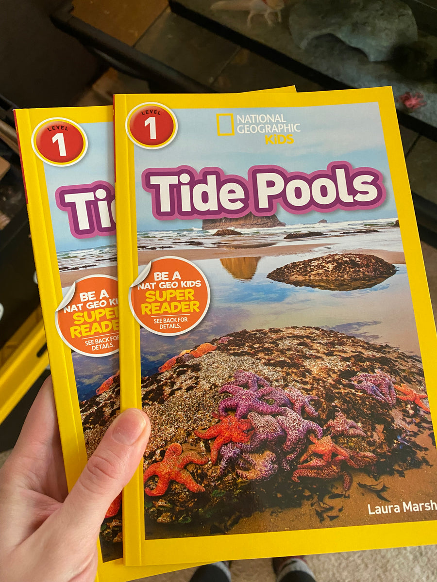 🐚 🦀 EXPLORING TIDE POOLS for Kids: LEARN about TIDE POOLS with Paige!  #kidsvideo #kidstv #tidepools 