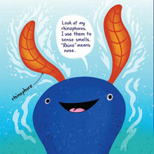 Load image into Gallery viewer, Nudi Gill: Poison Powerhouse of the Sea Nudibranch Children's Book