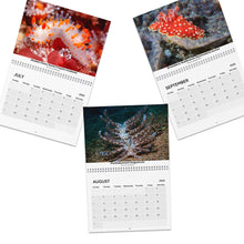 Load image into Gallery viewer, 2025 XXX Nudibranch Wall Monthly Calendar