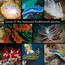 Load image into Gallery viewer, 2025 XXX Nudibranch Wall Monthly Calendar