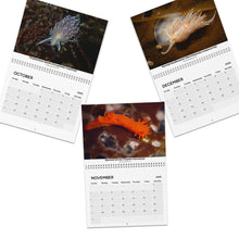 Load image into Gallery viewer, 2025 PNW XXX Nudibranch Wall Monthly Calendar