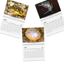 Load image into Gallery viewer, 2025 PNW XXX Nudibranch Wall Monthly Calendar