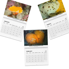 Load image into Gallery viewer, 2025 PNW XXX Nudibranch Wall Monthly Calendar