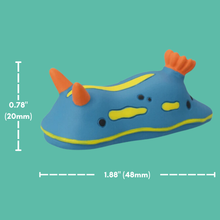 Load image into Gallery viewer, Anna's Magnificent Sea Slug (Chromodoris annae) Magnet
