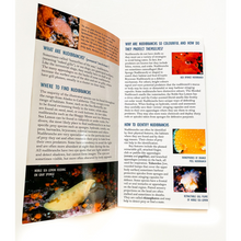 画像をギャラリービューアに読み込む, A Field Guide to Nudibranchs of the Pacific Northwest | Waterproof | Tide Pooling and SCUBA Diving Guide