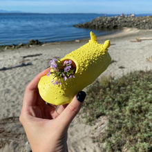 画像をギャラリービューアに読み込む, Hanging Nudibranch Succulent Planters by Reef Renders