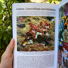 Load image into Gallery viewer, Nudibranch Behavior by David Behrens