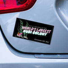 画像をギャラリービューアに読み込む, Proud Member of the World's Largest Nudibranch Colony - Waterproof & Weather-Resistent Bumper, Circle, Oval Stickers
