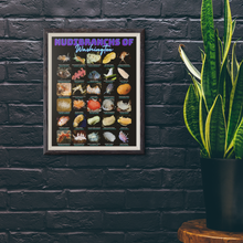 Load image into Gallery viewer, PNW Nudibranchs of Washington Photographic Poster with Identification Names on desk