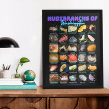 Load image into Gallery viewer, I LOVE NUDIS™ Nudibranchs of Washington Black Poster with Photos & Common/Scientific Names