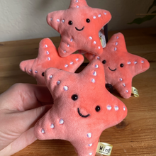 Load image into Gallery viewer, Nudibranch, Moon Jelly, and Sea Star Plushie Bundle