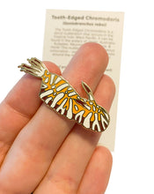 Load image into Gallery viewer, Tooth-Edged Chromodoris (Goniobranchus roboi) Wildlife Conservation Pin