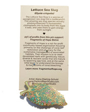 Load image into Gallery viewer, Lettuce Sea Slug (Elysia crispata) Wildlife Conservation Pin