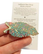 Load image into Gallery viewer, Lettuce Sea Slug (Elysia crispata) Wildlife Conservation Pin