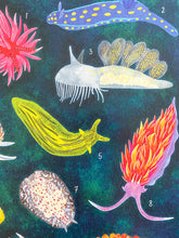 画像をギャラリービューアに読み込む, Sea Slugs of the North American Pacific Recycled Art Print