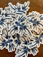 Load image into Gallery viewer, Blue Sea Dragon (Glaucus atlanticus) Nudibranch Stickers