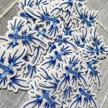 Load image into Gallery viewer, Blue Dragon Nudibranch Stickers