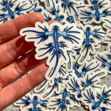 Load image into Gallery viewer, Blue Dragon Nudibranch Stickers