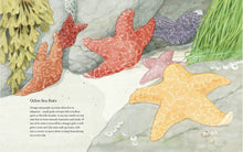 Load image into Gallery viewer, West Coast Wild at Low Tide Artwork