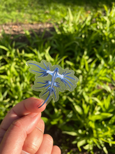 Load image into Gallery viewer, Blue Sea Dragon (Glaucus atlanticus) Nudibranch Stickers