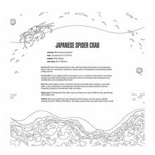 Load image into Gallery viewer, Sea Creatures: A Smithsonian Institute Coloring Book Giant Japanese Spider Crab Details Page