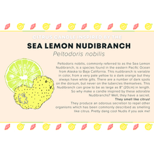 Load image into Gallery viewer, Sea Lemon Candle in Recycled Glass