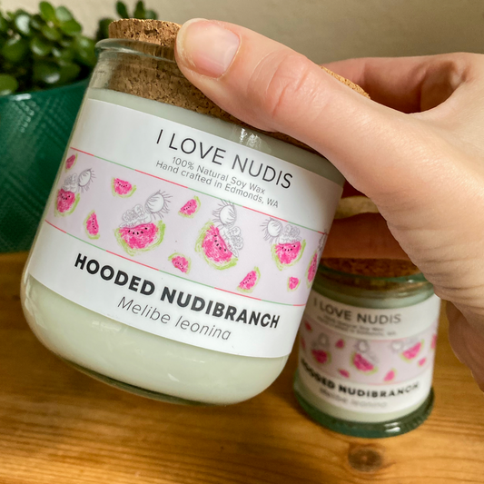 Watermelon Candle inspired by the Hooded Nudibranch in Recycled Glass