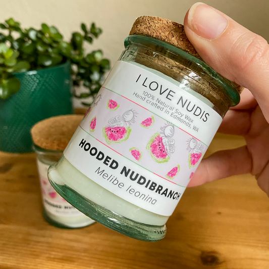 Watermelon Candle inspired by the Hooded Nudibranch in Recycled Glass