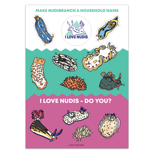 I LOVE NUDIS™ Colorful Vinyl Sticker Sheet with 11 adorable Nudibranchs and Sea Slugs