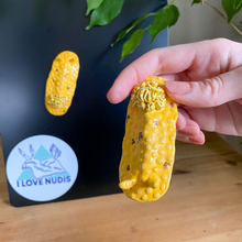 Load image into Gallery viewer, Sea Lemon Nudibranch Magnet