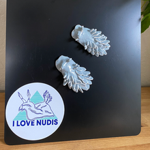 Load image into Gallery viewer, White-Lined Dirona Nudibranch Magnet