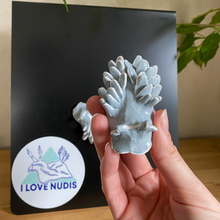 Load image into Gallery viewer, White-Lined Dirona Nudibranch Magnet