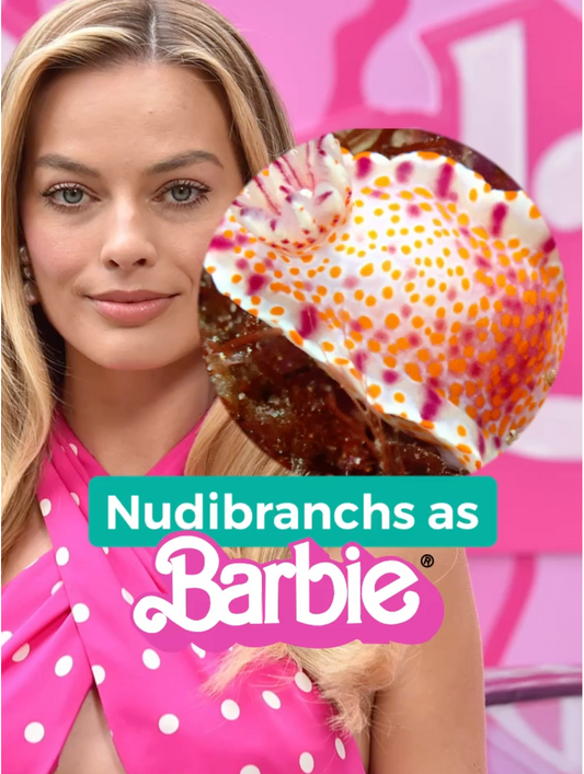 Nudibranchs as Barbie