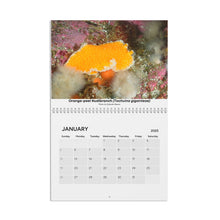 画像をギャラリービューアに読み込む, 2025 PNW Nudibranch Wall Calendar
