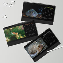 Load image into Gallery viewer, XXX PNW NUDI CALENDAR 2024 - Pacific Northwest Nudibranch 12 Month Table/Desk Calendar
