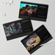 Load image into Gallery viewer, 2024 Nudibranchs from Around the World 12 Month Table/Desk Calendar
